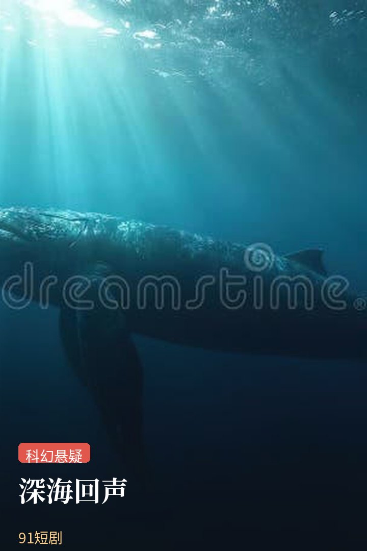 深海回声剧集封面