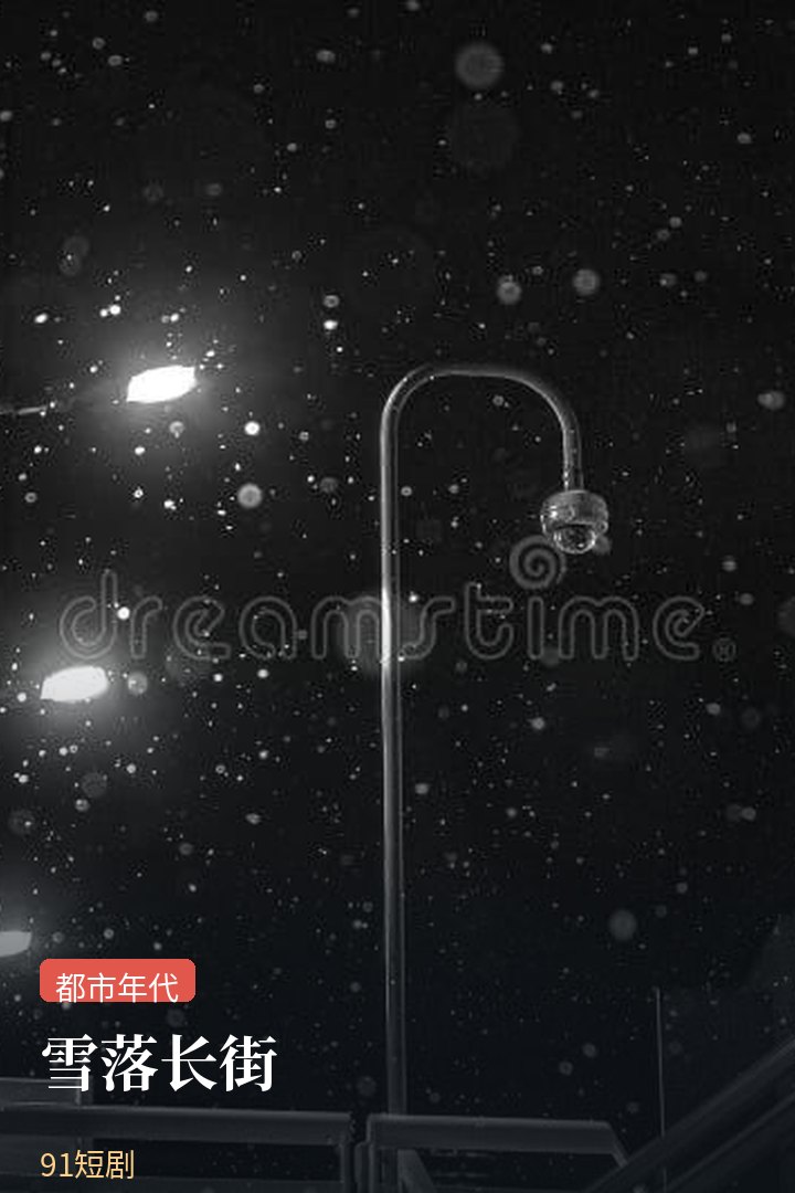 雪落长街剧集封面