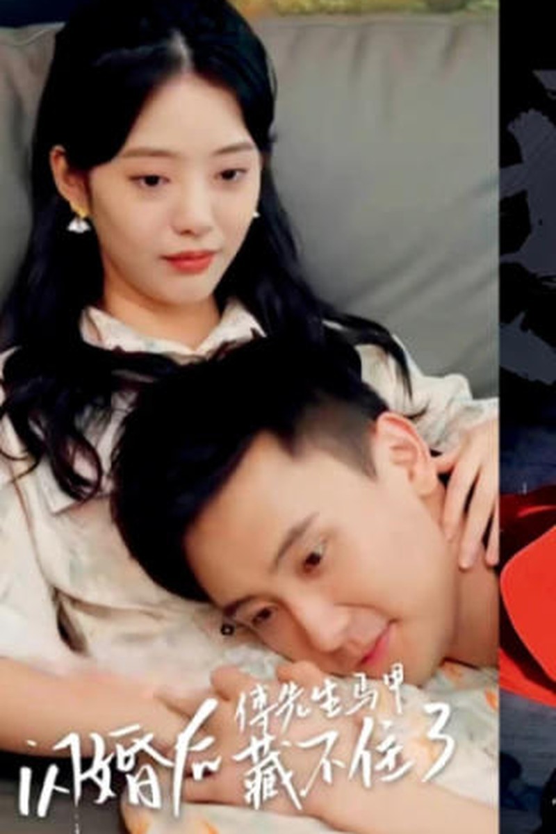 黄豆之寒门贵女