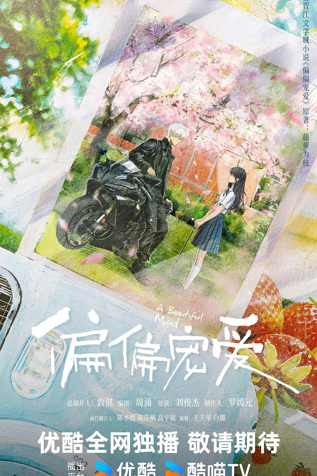 《偏偏宠爱》海报